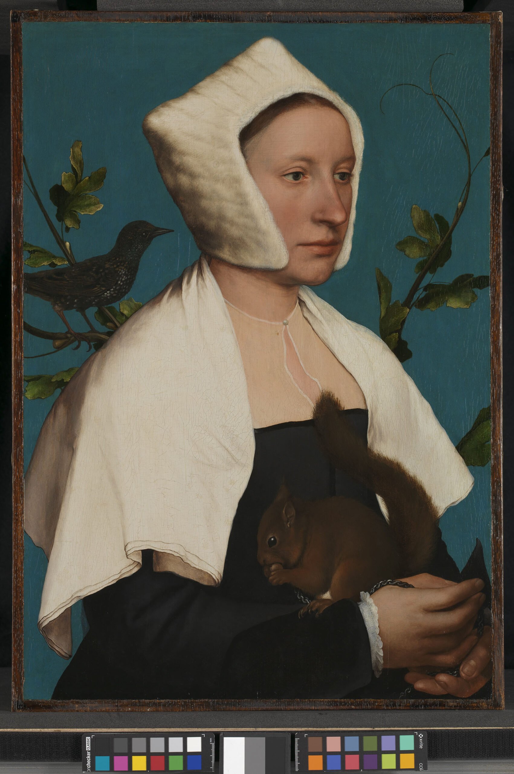 La Dama con lo scoiattolo di Hans Holbein a Palazzo Barberini